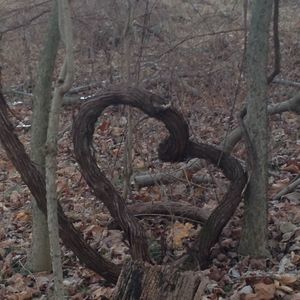 Meet your Posher, Dione